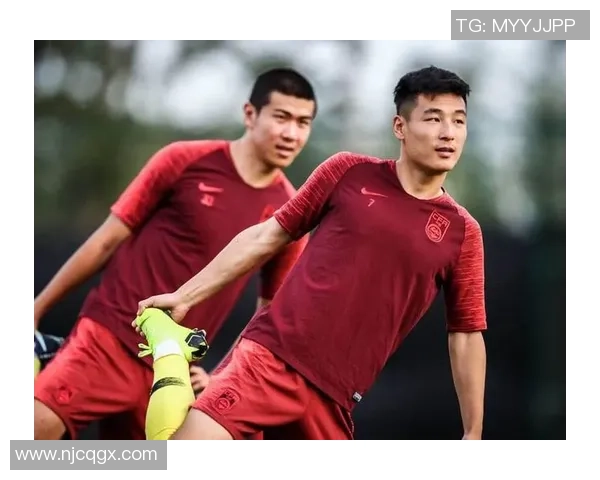 杭州排球队灵活性引发热议球迷与专家各执己见探讨战术变化